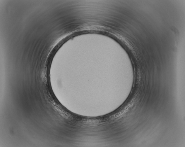 X0000110680830200907101125