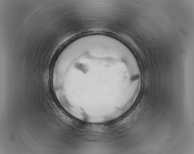 X0000110680831200907101125