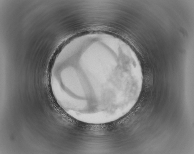 X0000110680832200907101125