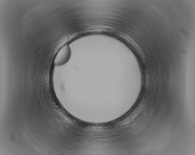 X0000110680834200907101125