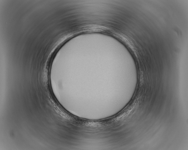 X0000110680835200907101125