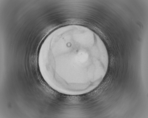 X0000110680836200907101125