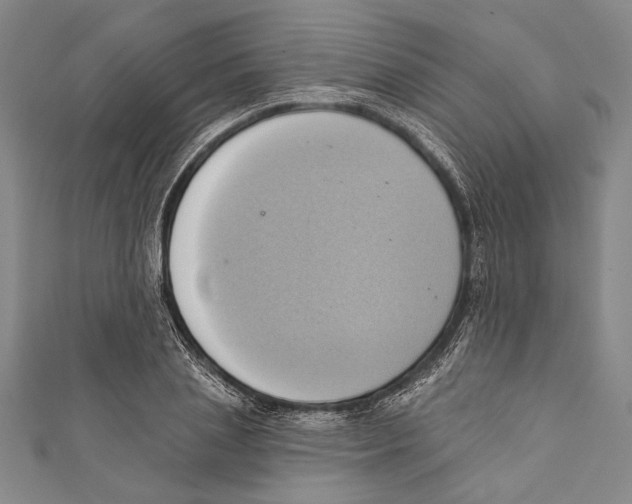 X0000110680837200907101125
