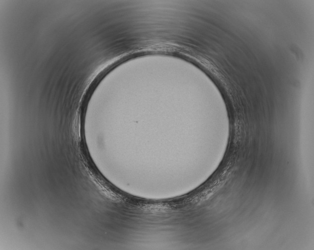 X0000110680838200907101125