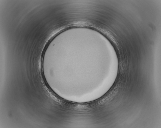 X0000110680839200907101125