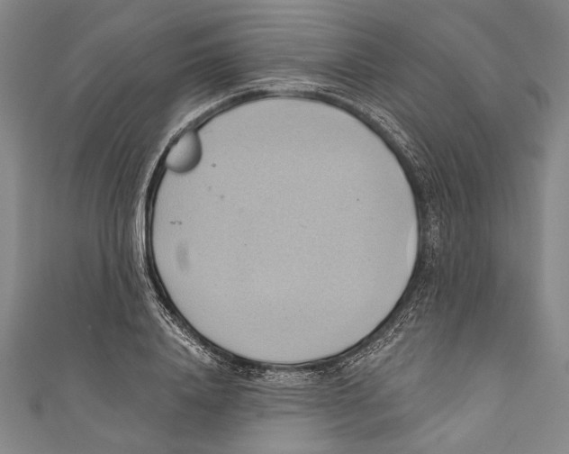 X0000110680840200907101125