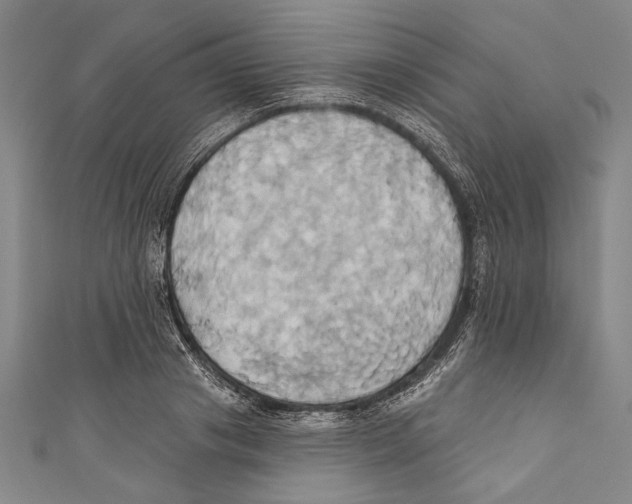 X0000110680841200907101125