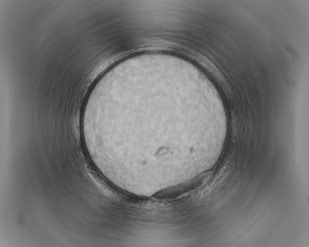 X0000110680842200907101125