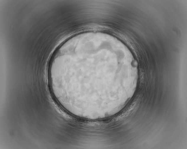 X0000110680843200907101125