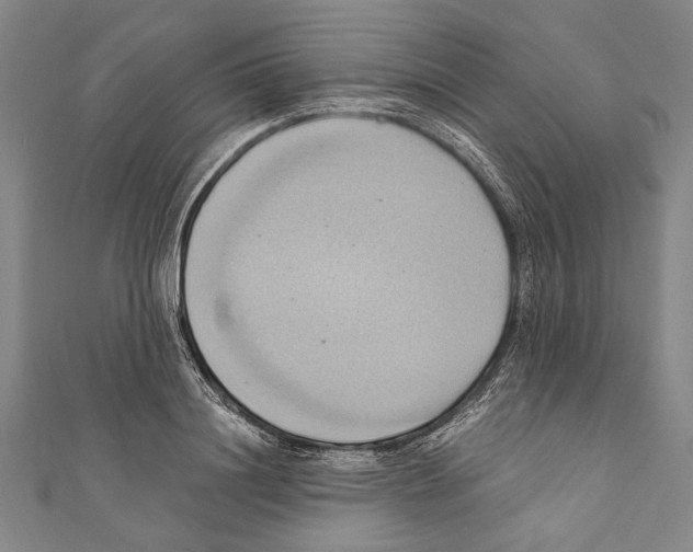 X0000110680844200907101125
