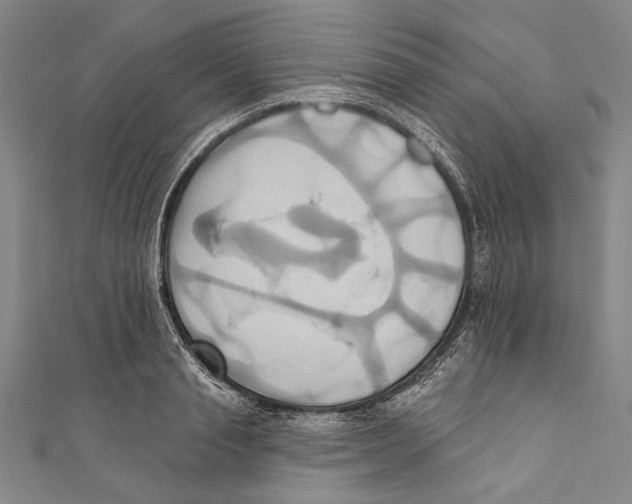 X0000110680845200907101125