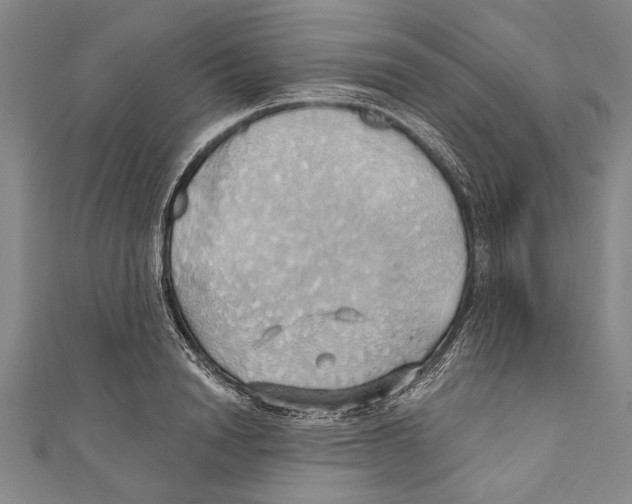 X0000110680846200907101125
