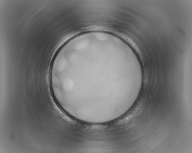 X0000110680847200907101126