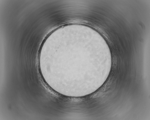 X0000110680848200907101126