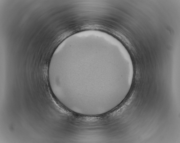 X0000110680849200907101126