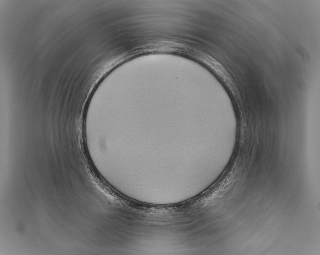 X0000110680850200907101126