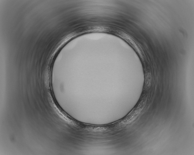 X0000110680851200907101126