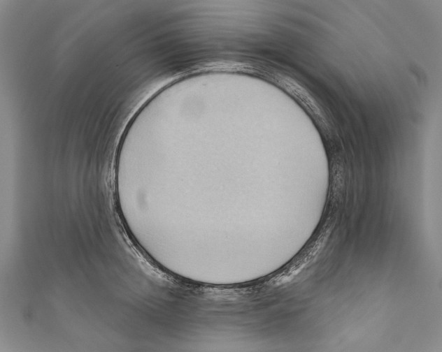 X0000110680852200907101126
