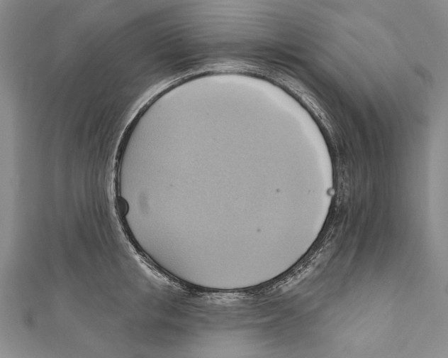 X0000110680853200907101126