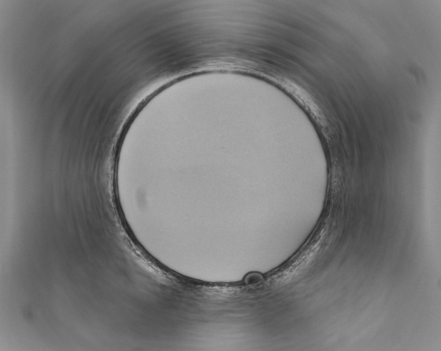 X0000110680854200907101126