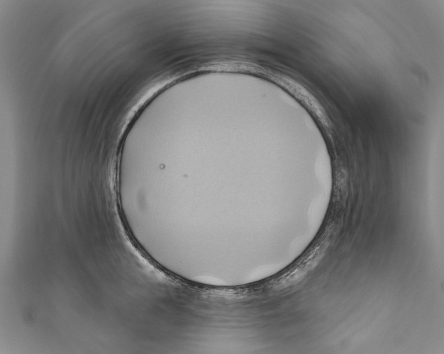 X0000110680855200907101126