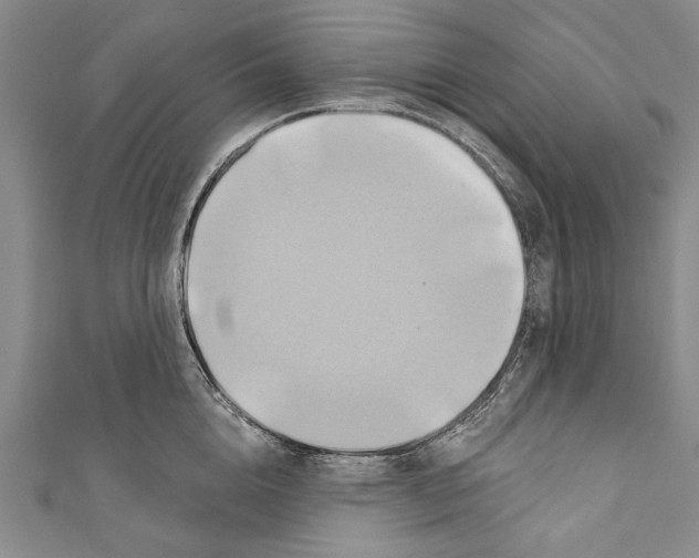 X0000110680856200907101126