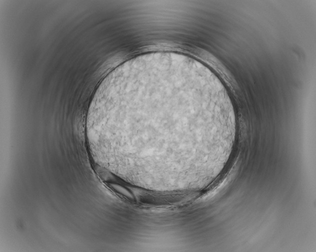 X0000110680857200907101126