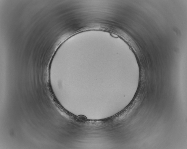 X0000110680858200907101126