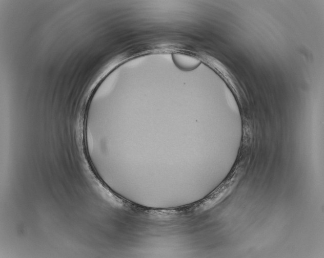 X0000110680859200907101126