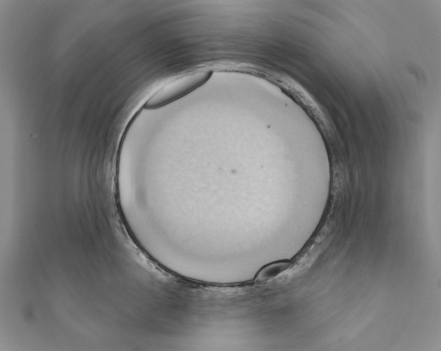 X0000110680860200907101126