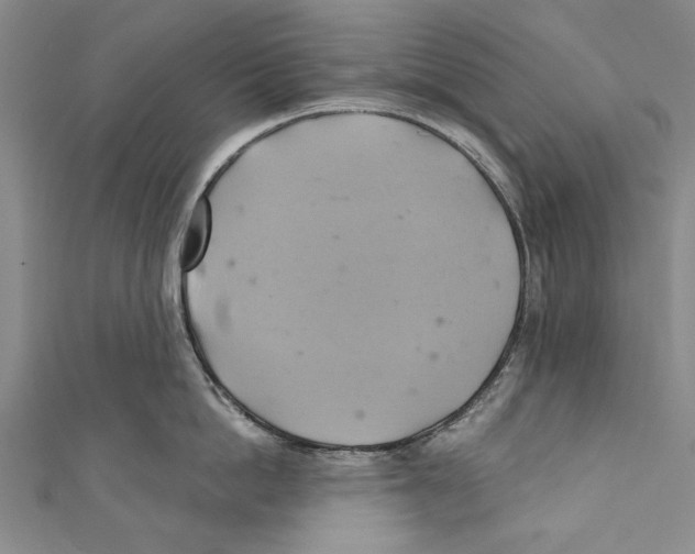 X0000110680862200907101126