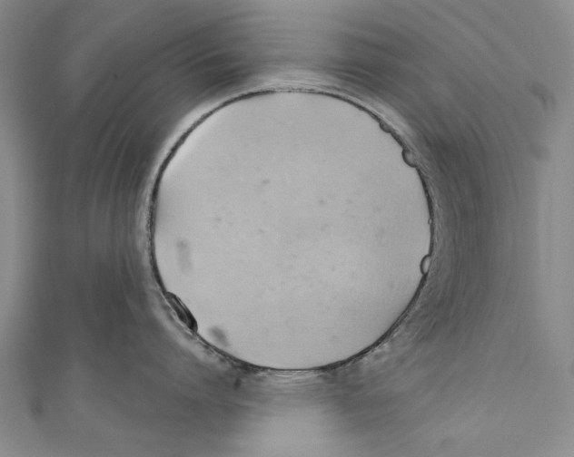 X0000110680864200907101126