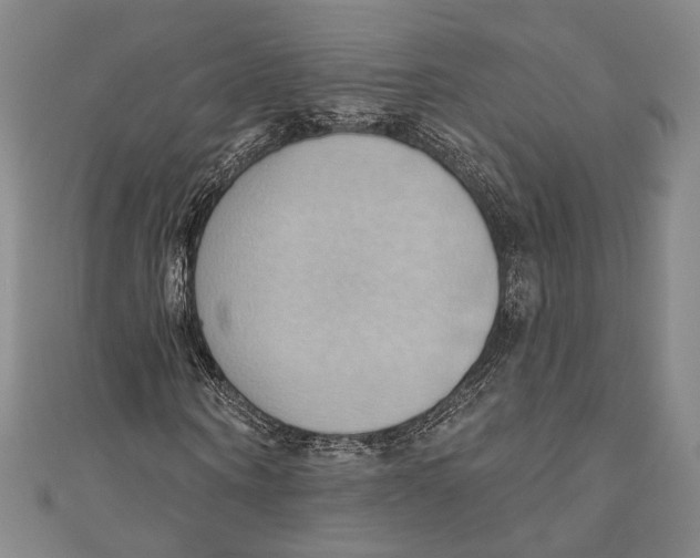 X0000110680866200907101125