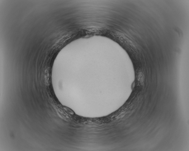X0000110680868200907101125