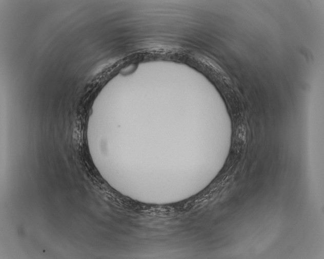 X0000110680869200907101125