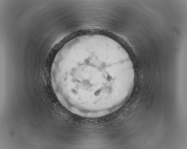 X0000110680871200907101125