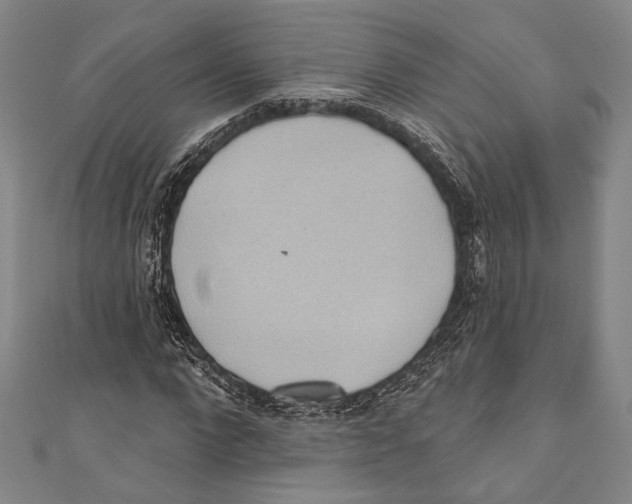 X0000110680872200907101125