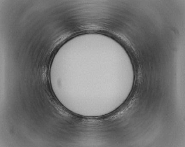 X0000110680873200907101125