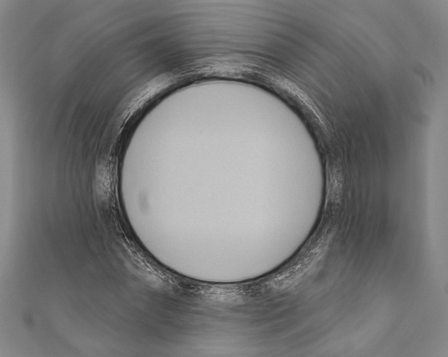 X0000110680874200907101125
