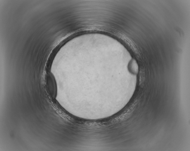 X0000110680876200907101125