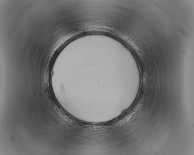 X0000110680877200907101125