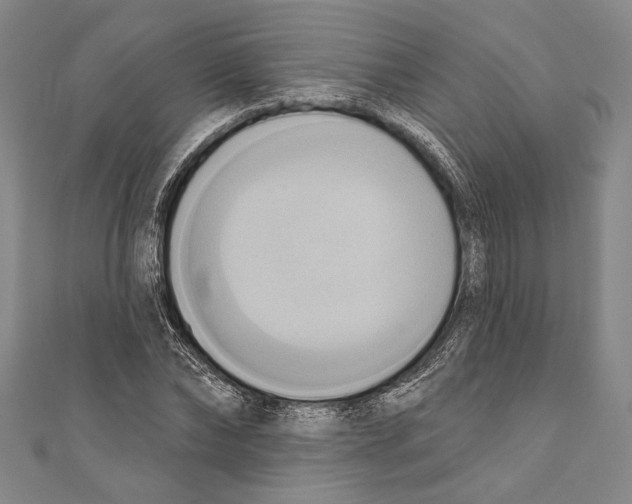 X0000110680878200907101125