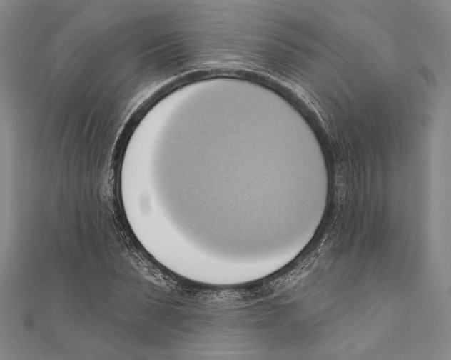 X0000110680879200907101125