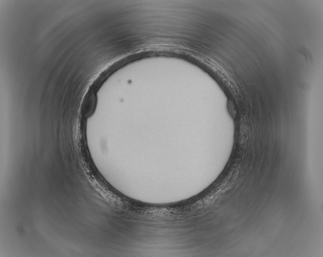 X0000110680880200907101125