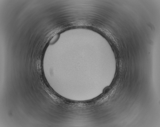 X0000110680881200907101125
