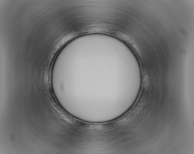 X0000110680882200907101125