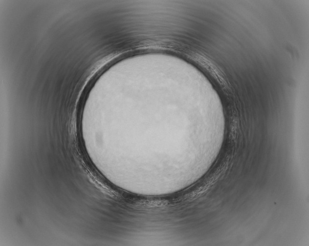 X0000110680884200907101125