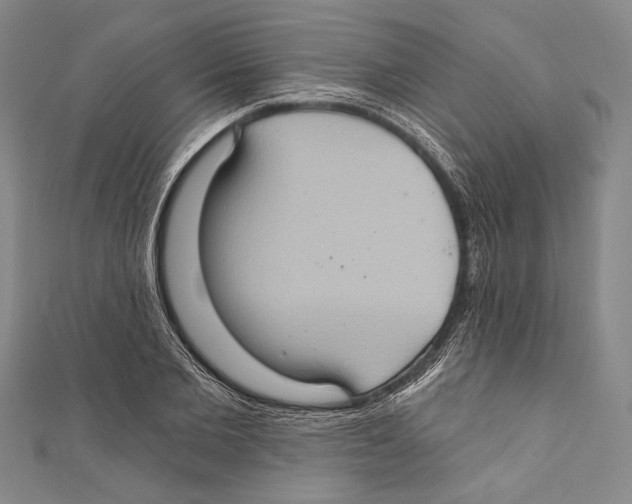 X0000110680885200907101125