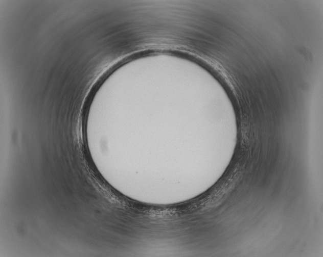 X0000110680887200907101125