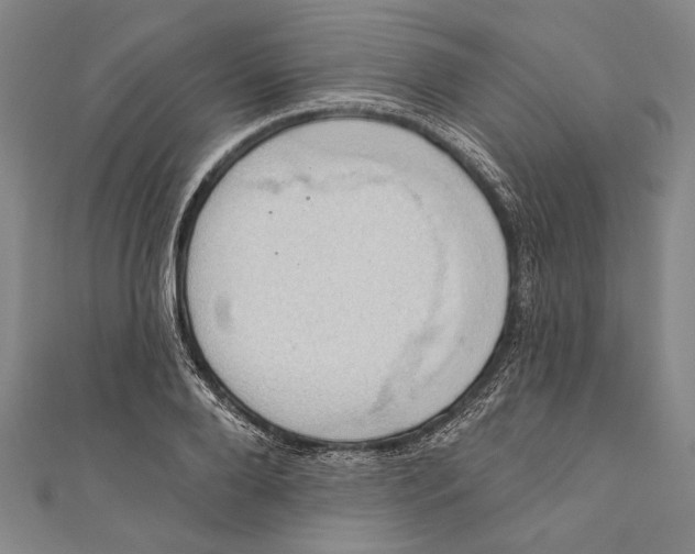 X0000110680888200907101125